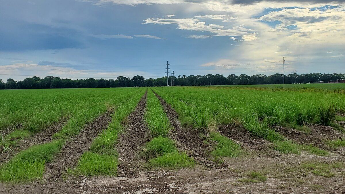 W Hwy 90 Frontage Rd, New Iberia, LA 70560